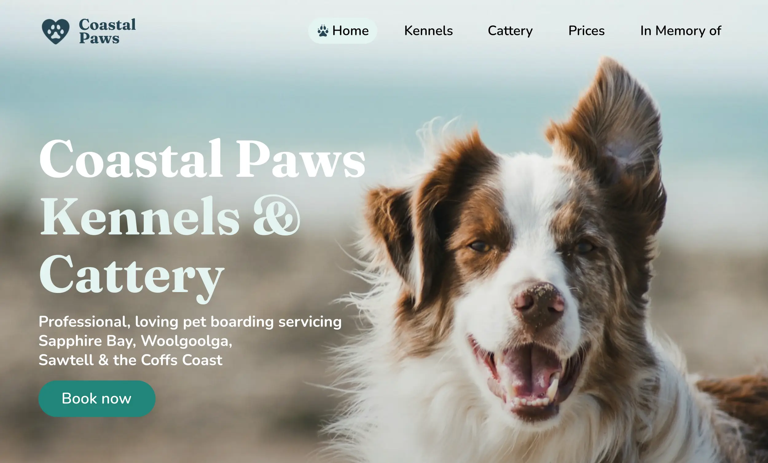 Coastal Paws Kennels & Cattery redesigned homepage